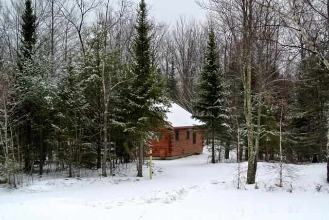 Muddy Moose Otel Morrisville Dış mekan fotoğraf