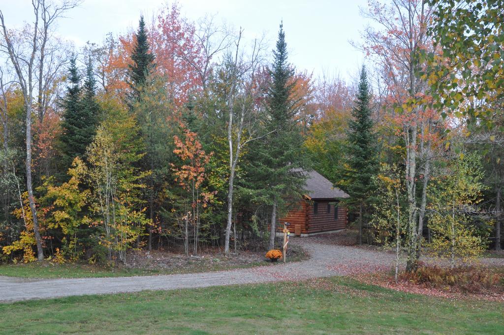 Muddy Moose Otel Morrisville Dış mekan fotoğraf